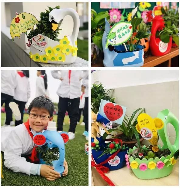 我是绿色小天使——赠送爱心盆栽