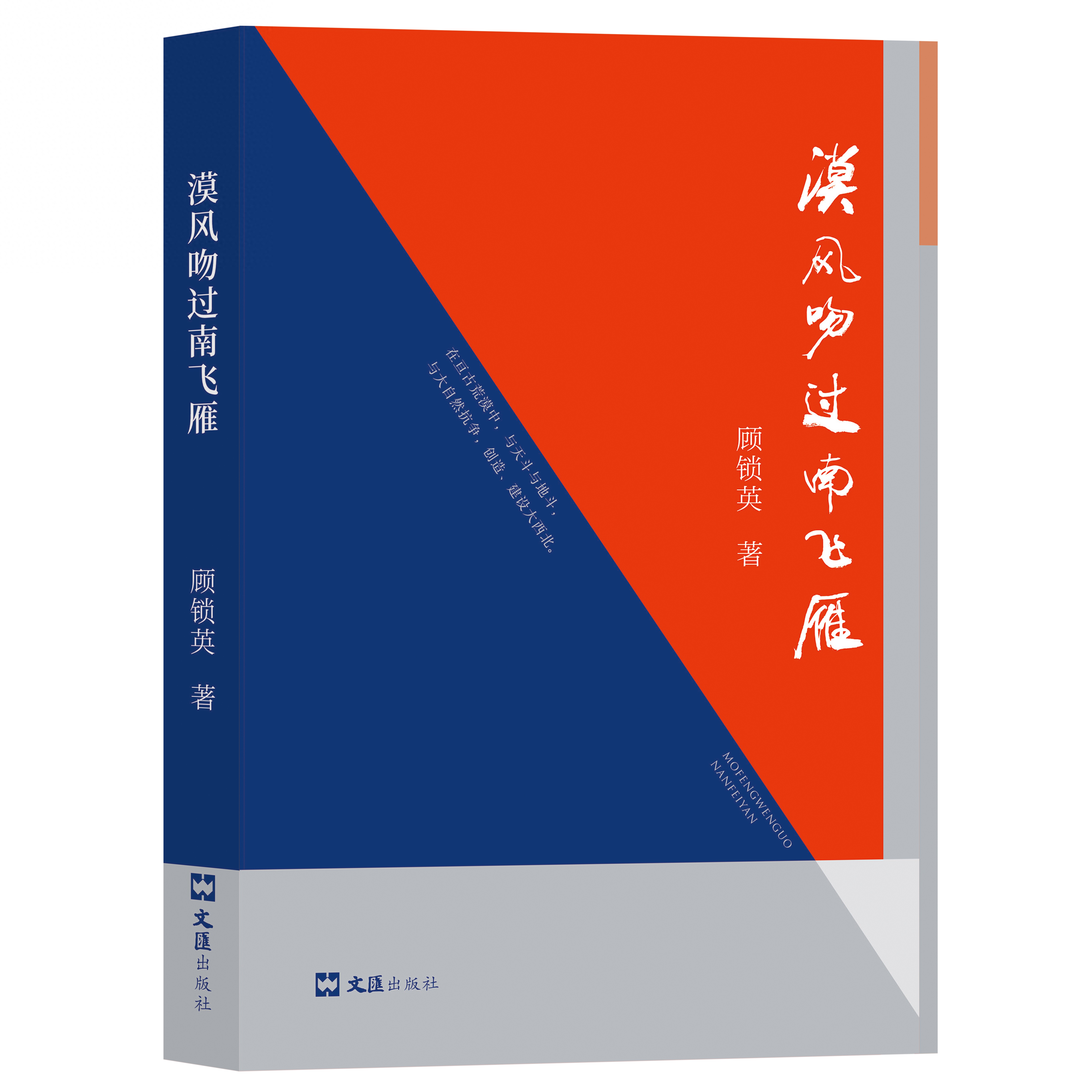 《漠风吻过南飞雁》（散文集）