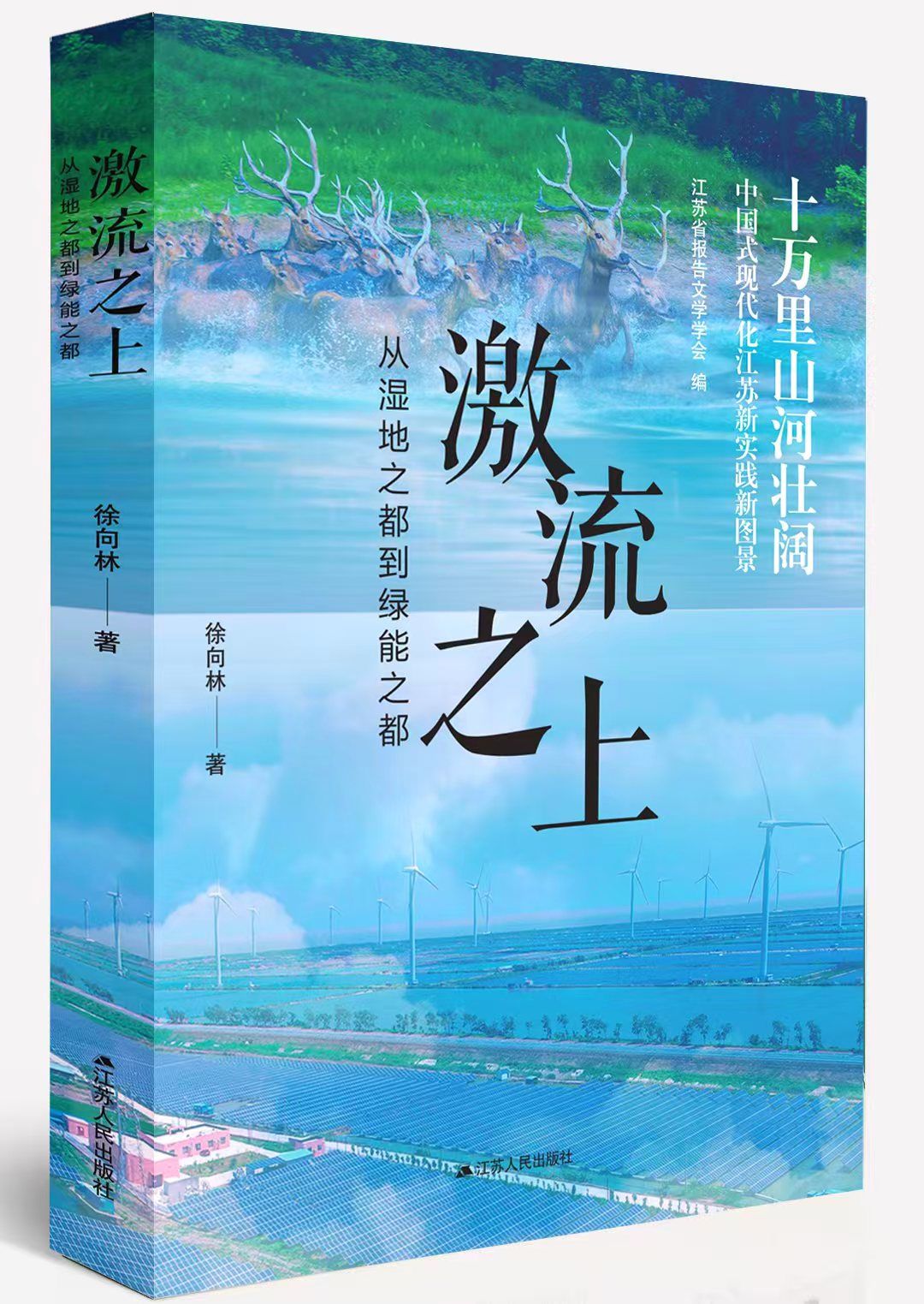 《激流之上：从湿地之都到绿能之都》（长篇报告文学）