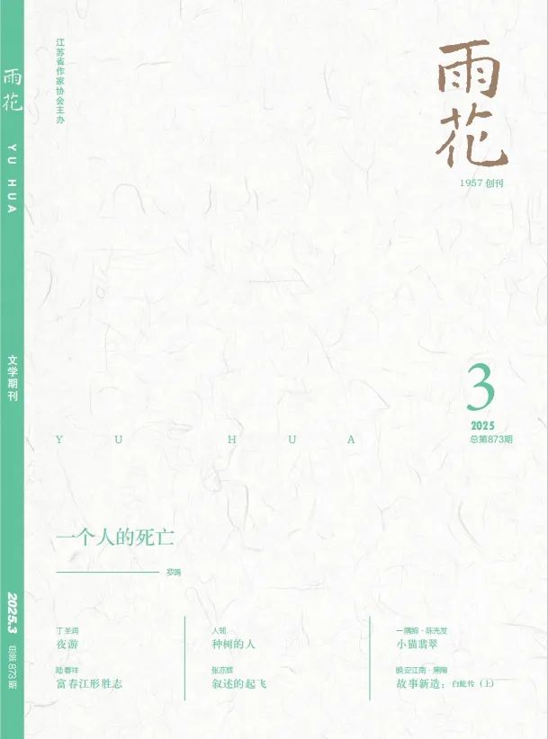 《雨花》2025年第3期目录