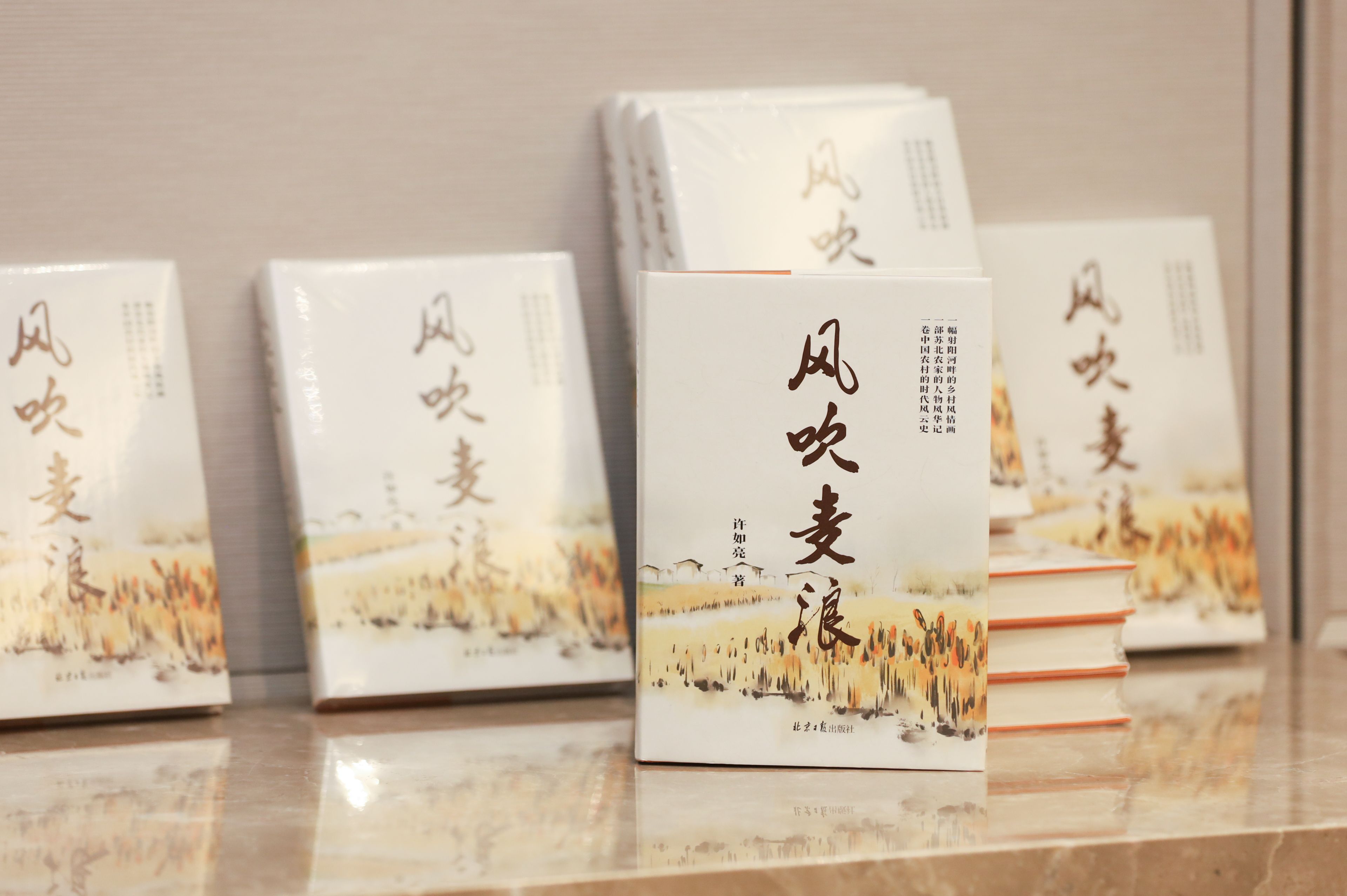杨红星：麦芒上的汗味——读许如亮长篇小说《风吹麦浪》