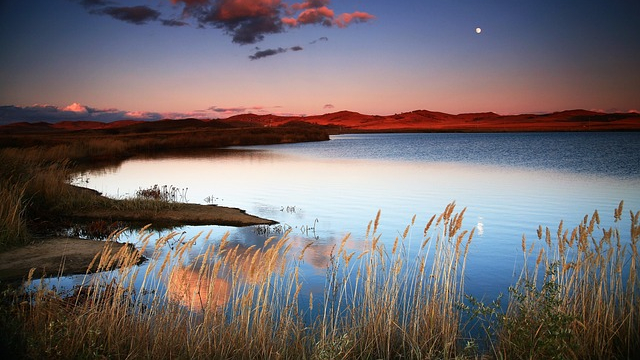 李风宇：刘香河《五湖八荡》与里下河的精神原乡