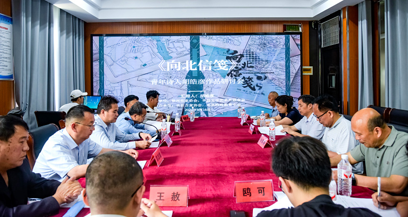 诗载初心续文脉 笔耕逐梦绽芳华——丰县青年诗人胡皓彦诗歌作品研讨会圆满举办