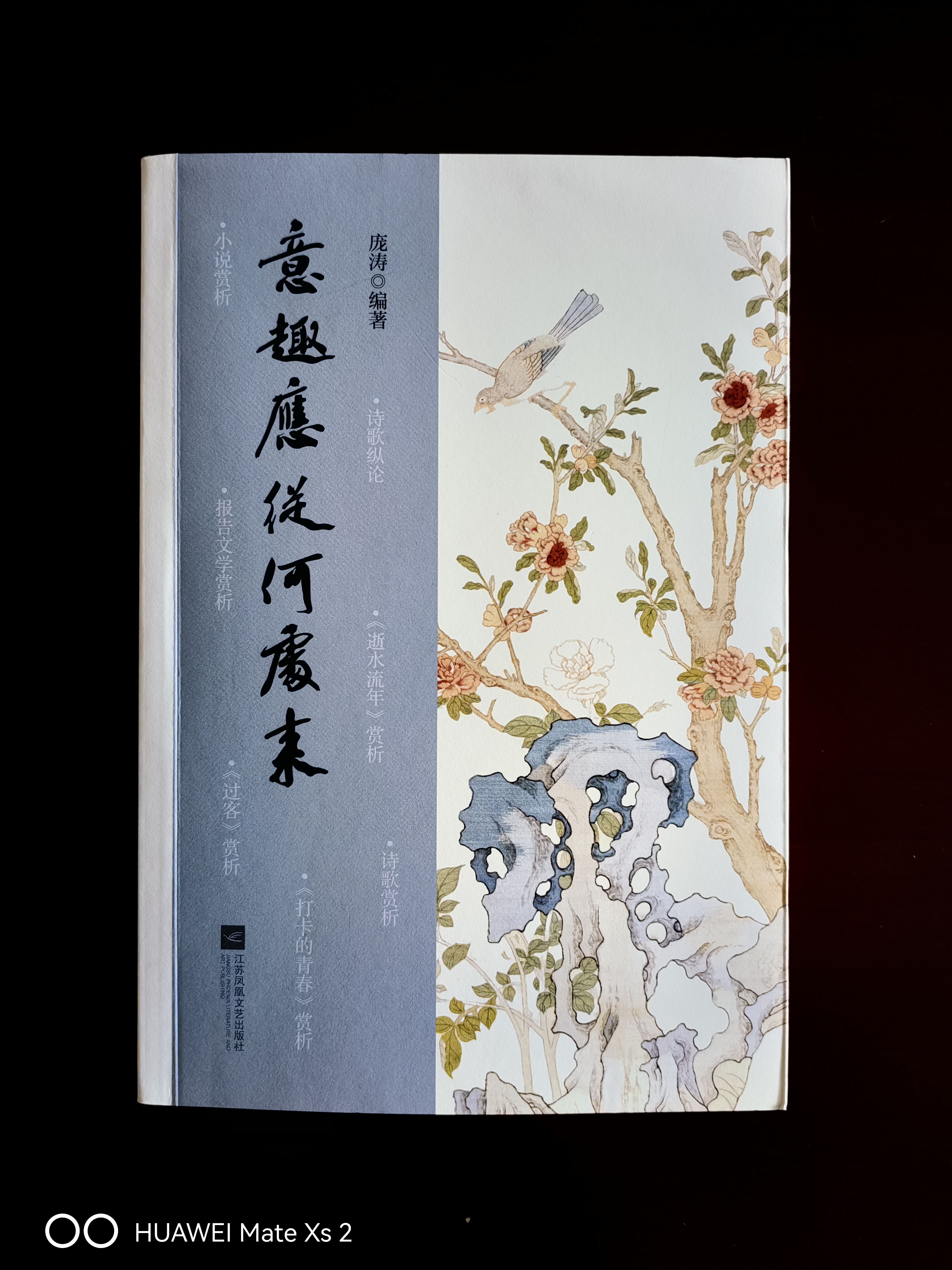 陈武：庞涛的意趣