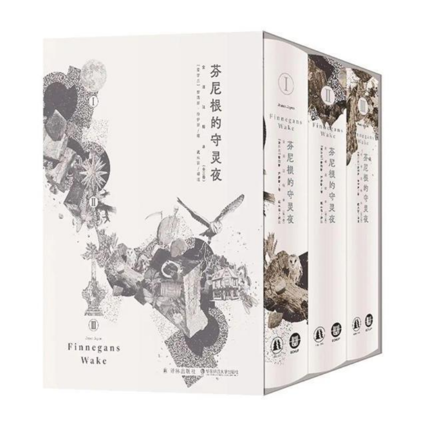 鲁奖访谈｜戴从容：翻译《芬尼根的守灵夜》是经历了一场文字搏斗